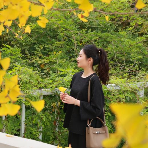 【2026东衣作】新中式上衣+半裙（25808166+25706209b-墨棠） 商品图1