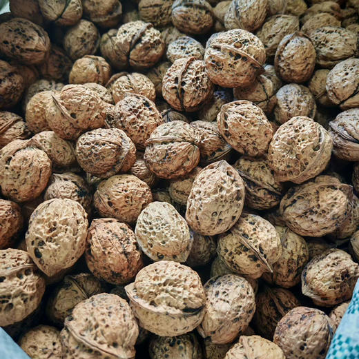 【核桃】野生尖嘴小核桃虽小个却香甜 都是没有泡药水的原生态核桃 /核桃仁 新货包邮 商品图8