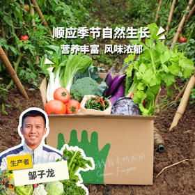 【华东仓】家庭蔬菇豆蛋一年份额（客服打电话确认后发）| 绿家自产*EcoFresh Yearly | In-House Production