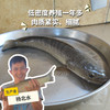 生态生鱼（黑鱼）（冷鲜，仅限省内下单） | 绿家自产* Eco-snake head mullet | Self-production 商品缩略图0