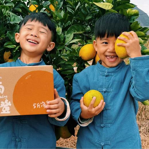 生态赣南脐橙 （买19斤送5斤）|合作生产*Ecological Gannan navel orange| Partner Production 商品图3