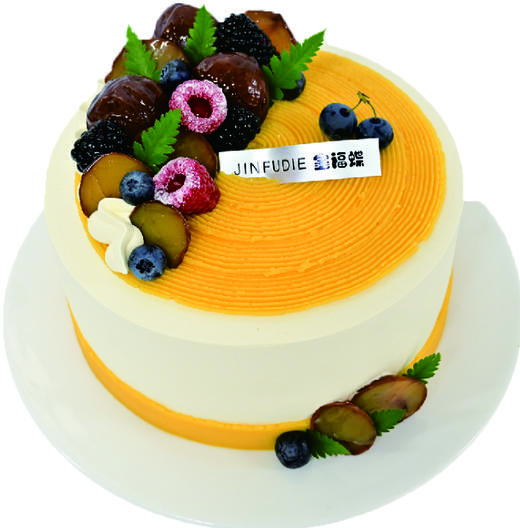 F01-F04（6英寸） 商品图2