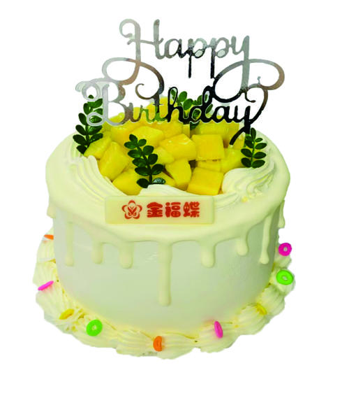 B17-B20（6英寸） 商品图0