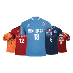 “活力璧山 绿茵争先”渝超球衣（需备注球队和尺码）【非卖品】