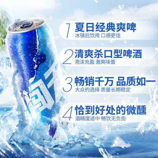 【小店自提】雪花勇闯听装500ml 商品图1