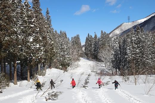 【25/26雪季】·【寒假苗场】2月3日-8日，6天5晚，苗场&神乐&田代 冲粉去！ 商品图1