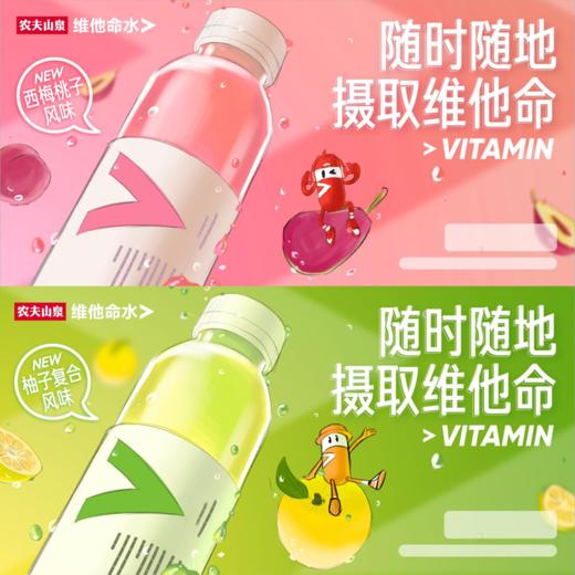 【小店自提】农夫维他命水500ml 商品图3