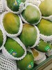 攀枝花芒果三斤 商品缩略图0