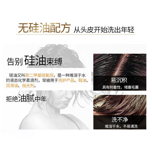 【分仓直发包邮】滋源生姜强韧奢养防断洗头水535ml（中干性） 商品图4