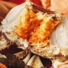 杨桂珍大闸蟹七星系列公蟹4.5两母3.5两   8只装（公母各4只） 商品缩略图4