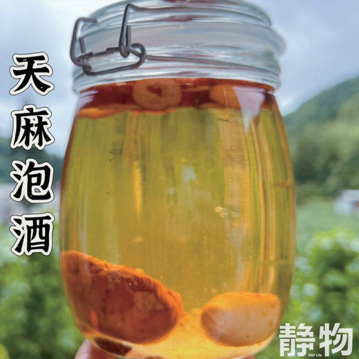 生态新鲜乌天麻，仿野生种植｜云南昭通【Y】 商品图1