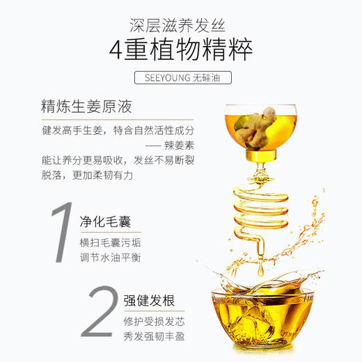 【分仓直发包邮】滋源生姜强韧奢养防断洗头水535ml（中干性） 商品图1