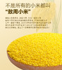 内蒙古敖汉有机小米 商品缩略图1
