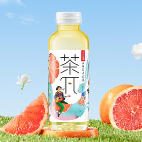 【小店自提】 农夫茶π500ml