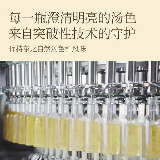 【小店自提】东方树叶茶500ml 商品图2