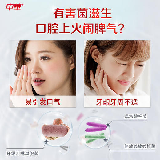 【小店自提】中华花清护橙花蒲公英牙膏 商品图1