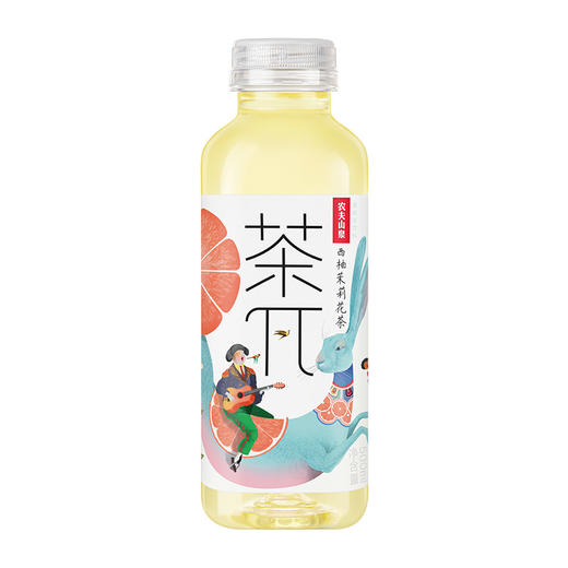 【小店自提】 农夫茶π500ml 商品图1