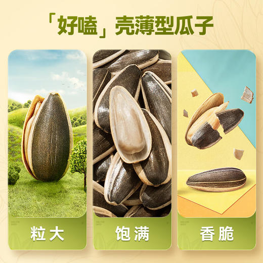 【小店自提】洽洽150g生香瓜子 商品图2