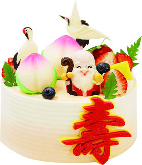 C01-C04（6英寸）