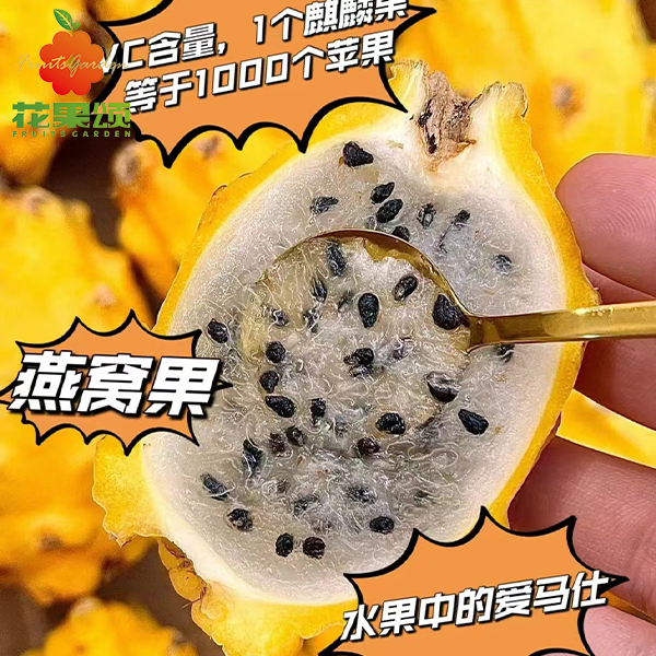 【精选整果】优质燕窝果1个大果 甜到心坎 约280g