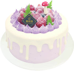 E01-E04（6英寸）