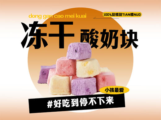 【强丽】冻干酸奶块 商品图0