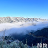 生态新鲜乌天麻，仿野生种植｜云南昭通【Y】 商品缩略图7