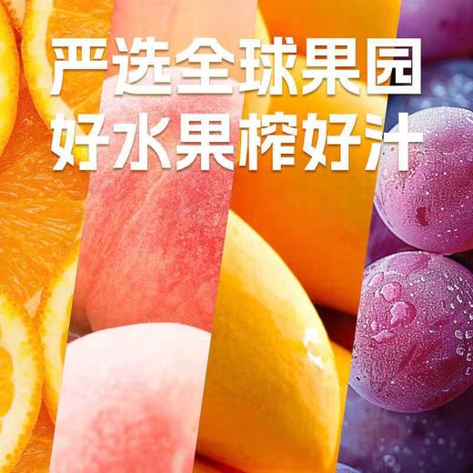 乐源菓蔬秘诀 果汁饮料1L 商品图2