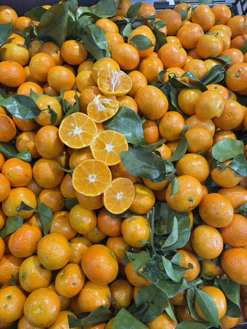 精品广西砂糖橘一份约500g