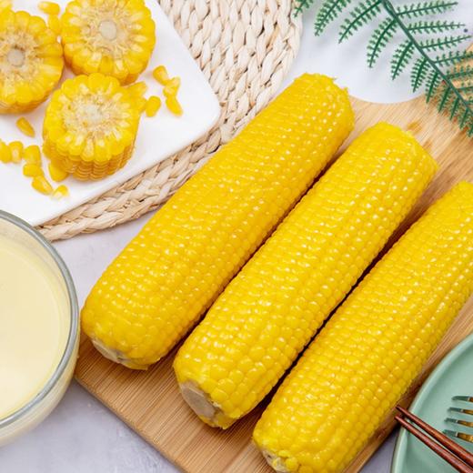 有机黑土地黄糯玉米(8穗)/1.6kg 商品图1