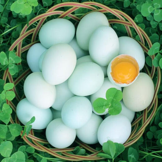 贵州长顺绿壳鸡蛋  50枚 商品图2