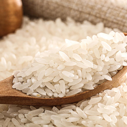 南稻皇黄花占丝苗米  5kg 商品图3