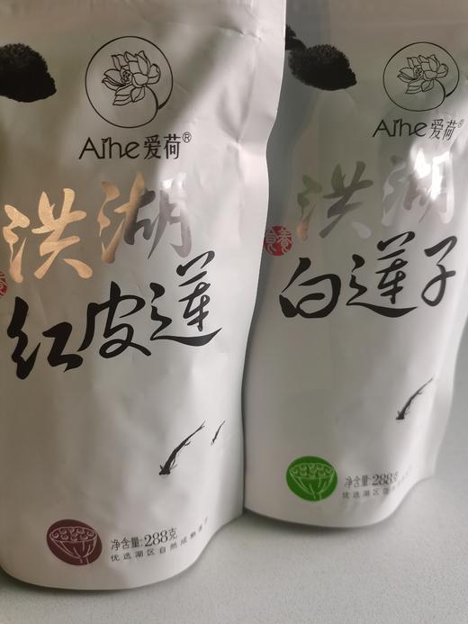 洪湖红白莲（钻芯莲） 商品图0