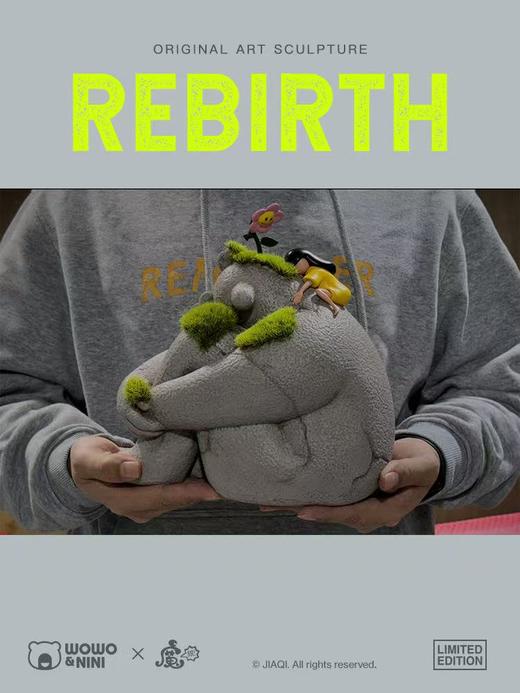 刘佳琪《REBIRTH》299版 商品图8