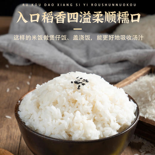 南稻皇农家丝苗米  2.5kg 商品图4