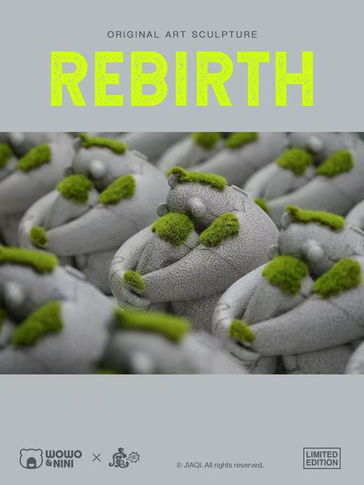 刘佳琪《REBIRTH》299版 商品图6