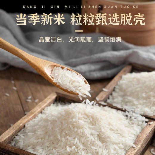 南稻皇农家丝苗米  2.5kg 商品图2
