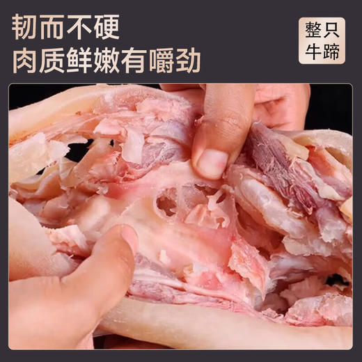 贵牛宝宝 贵州黄牛 牛蹄 3斤 商品图3