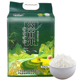 南稻皇美香占2号丝苗米  5kg