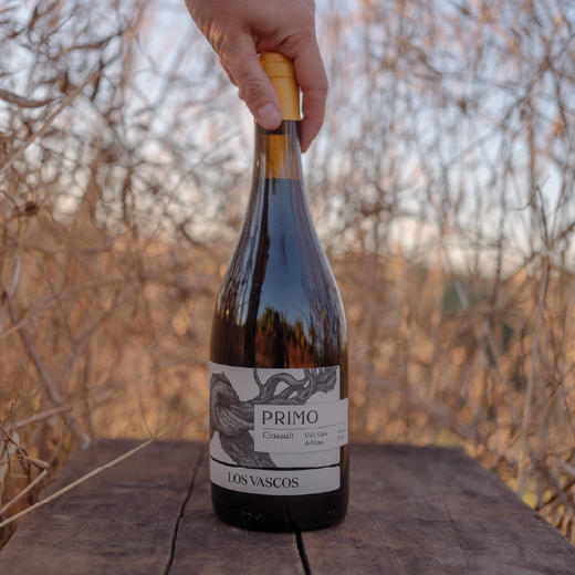 (测试勿拍)拉菲罗斯柴尔德巴斯克葡瑞神索红葡萄酒智利原瓶进口2022年份 商品图2