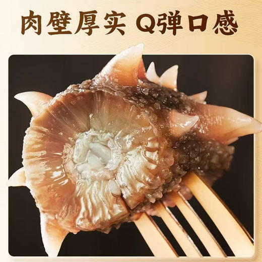 凤安堂 即食海参 500g 好海好参 商品图4