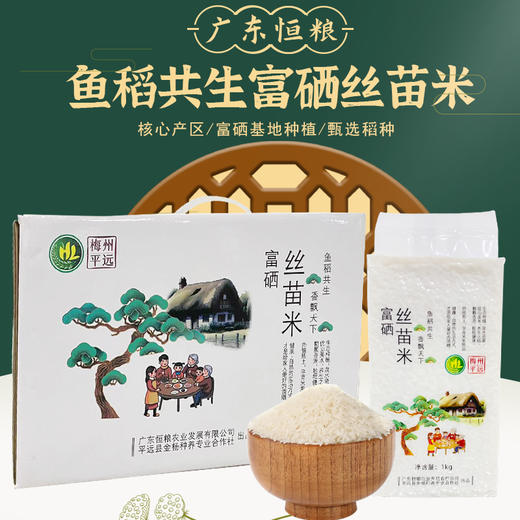 南稻皇富硒丝苗米 5kg 商品图2