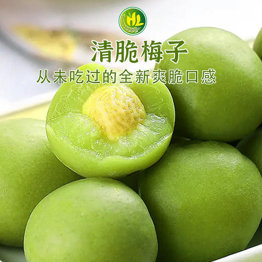 南稻皇脆青梅  290g 商品图2