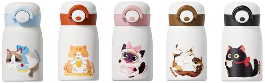 迪乐贝尔316保温杯D9404-270 商品图0