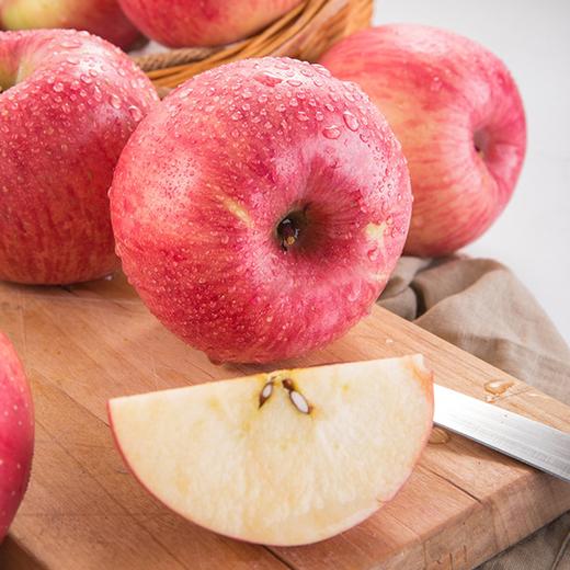 烟台栖霞红富士苹果 商品图1