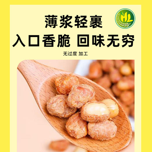 南稻皇米浆裹衣花生  308g 商品图2