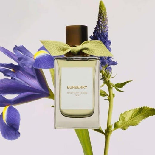 Burberry博柏利/巴宝莉 高定香氛系列浓香水 山楂花浓香水 商品图3