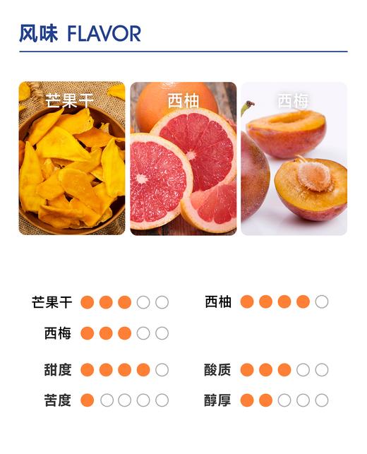 实验#6 ｜ 芒果干 西柚 西梅 商品图2