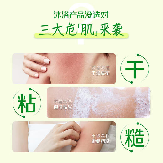 【分仓直发包邮】惠润沐浴露590ml（淡雅柑桔香型/淡雅果香香型） 商品图2