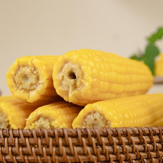 有机黑土地黄糯玉米(8穗)/1.6kg 商品图5
